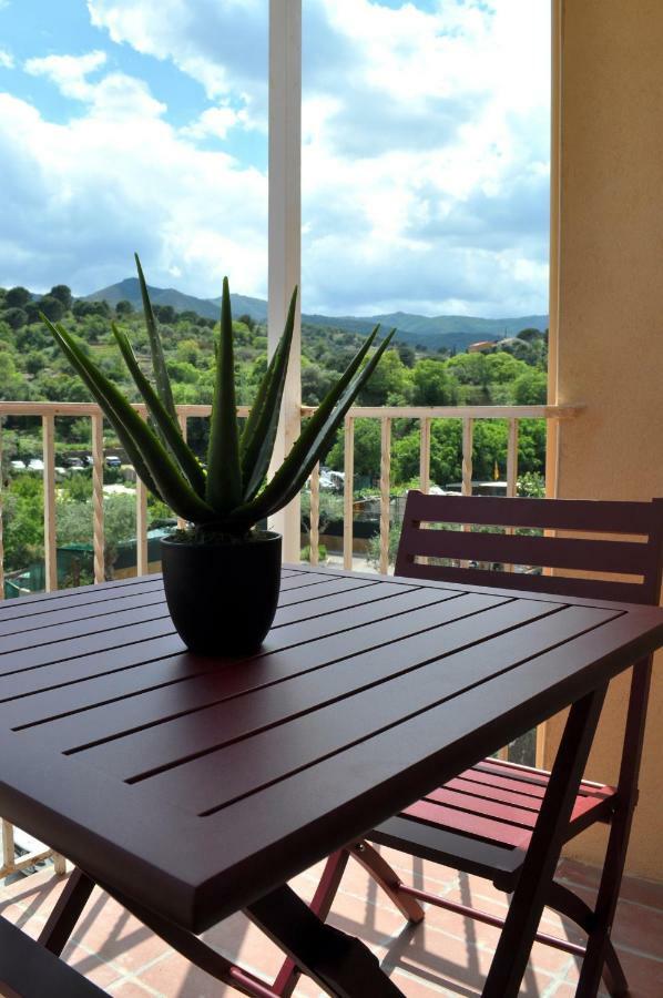 Ibanova Appartements Collioure Ngoại thất bức ảnh