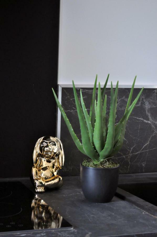 Ibanova Appartements Collioure Ngoại thất bức ảnh